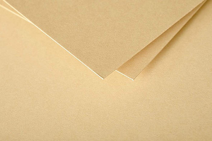 PLIC CLAIREFONTAINE DL 20/SET CARAMEL 5485C [2]