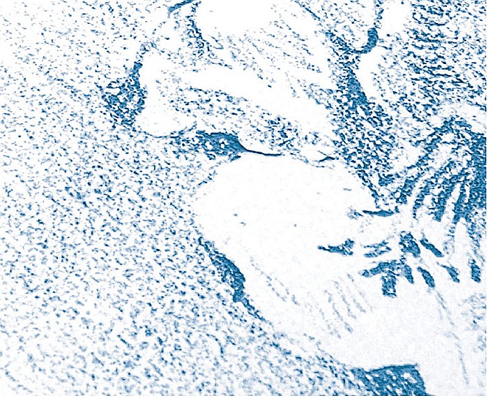 CF BLOC DESEN A5 40F 125GR/m2 CLAIREFONTAINE DESSIN A GRAIN 96686C [3]