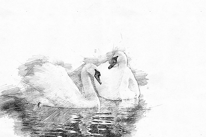 CF BLOC DESEN A5 40F 125GR/m2 CLAIREFONTAINE DESSIN A GRAIN 96686C [4]