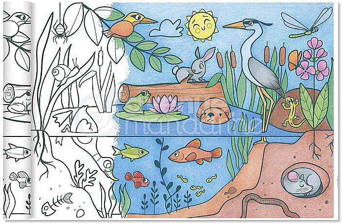 CF ROLA HARTIE DE COLORAT 0.35*5M 90GR ECOSYSTEM AVENUE MANDARINE GY078C [2]