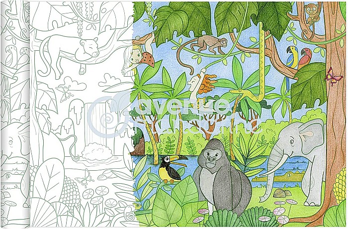 CF ROLA HARTIE DE COLORAT 0.35*5M 90GR JUNGLA AVENUE MANDARINE GY127C [2]