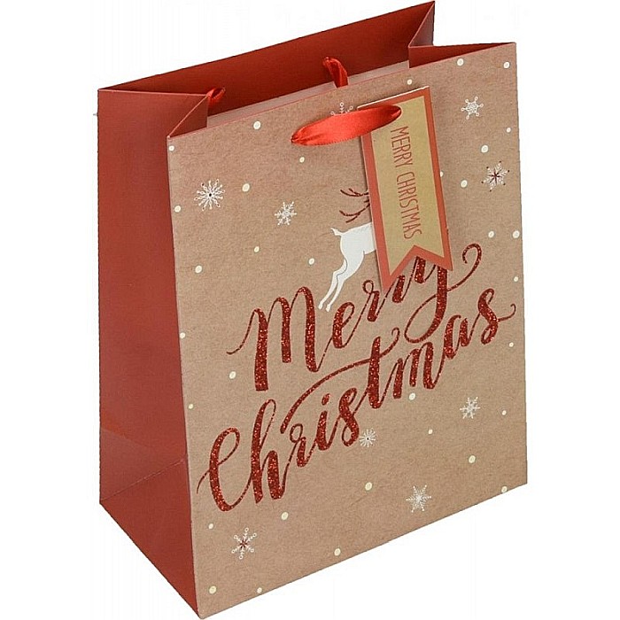 EU SACOSA CADOU CRACIUN 18*23*10CM 75138 [3]