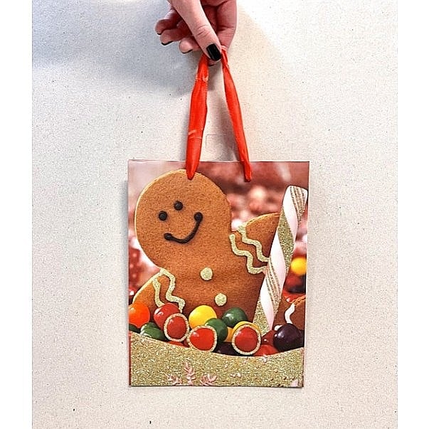 EU SACOSA CADOU CRACIUN 17*22CM M 75293 [1]