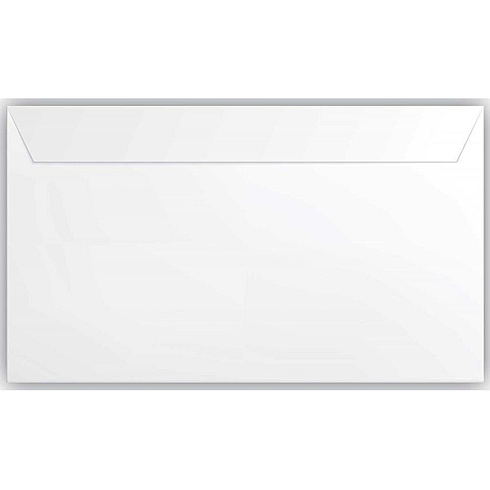 EU PLIC DL 500/SET ALB 80G SILICON 230301 [2]