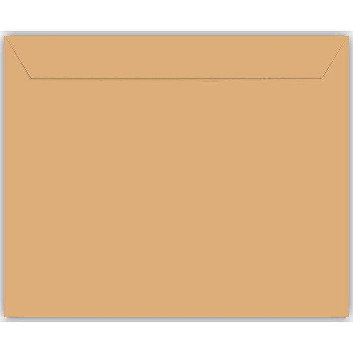 EU PLIC B5 500/SET KRAFT 90G SILICON 230316-promo [2]