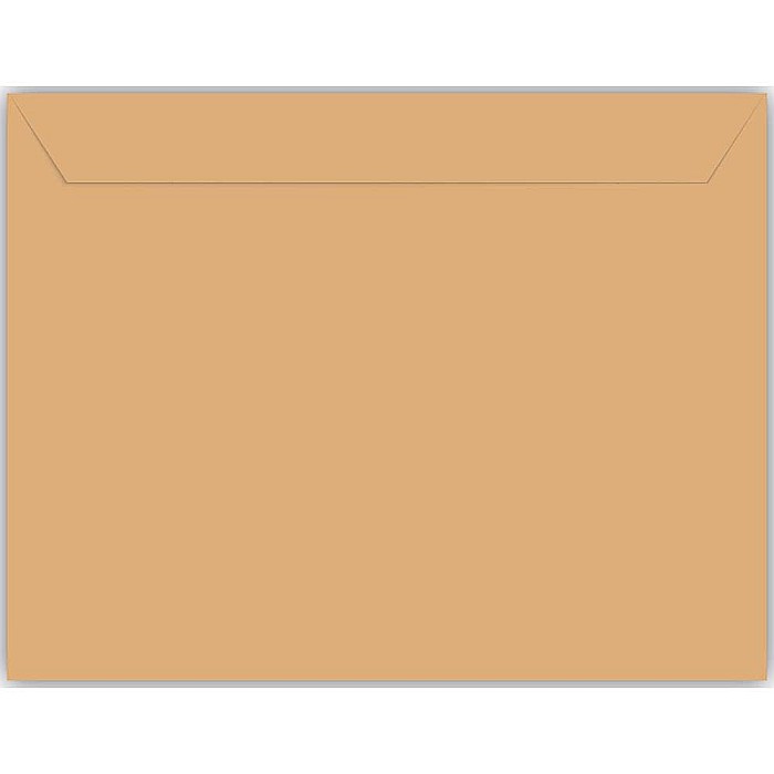 EU PLIC C4 250/SET KRAFT 90G SILICON 230317-promo [2]