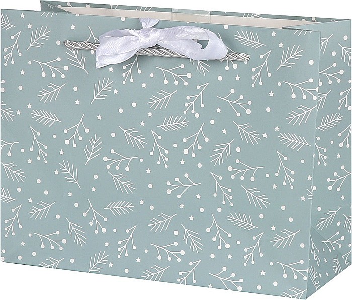 EU SACOSA CADOU CRACIUN 23*18*10CM 77666 [1]