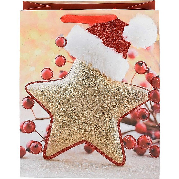 EU SACOSA CADOU CRACIUN 26*32*12CM DIVERSE MODELE L 71842 [7]