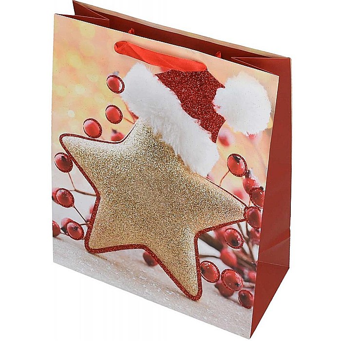 EU SACOSA CADOU CRACIUN 26*32*12CM DIVERSE MODELE L 71842 [8]