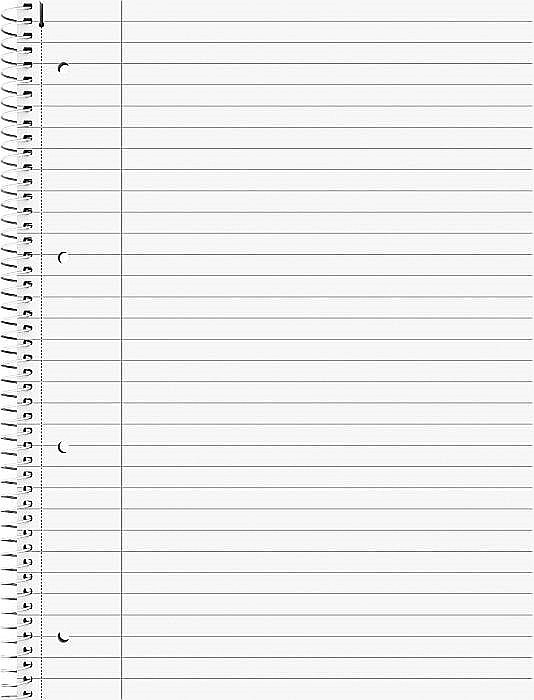 BR CAIET A4 80F SPIRA SI PERFORATII PREMIUM LINII 67141 [2]