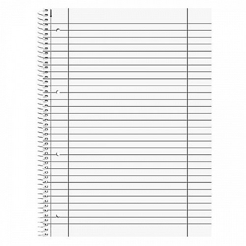 BR CAIET A4 80F SPIRA SI PERFORATII DUO LINII+PATRATELE 67974 [2]