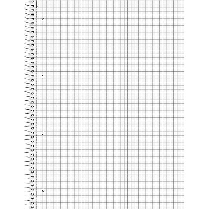 BR CAIET A4 80F SPIRA SI PERFORATII DUO LINII+PATRATELE 67974 [3]
