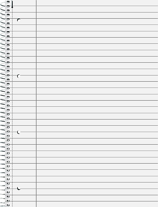 BR CAIET A4 80F SPIRA SI PERFORATII  ONYX COLOR CODE LINII 67927190 [2]