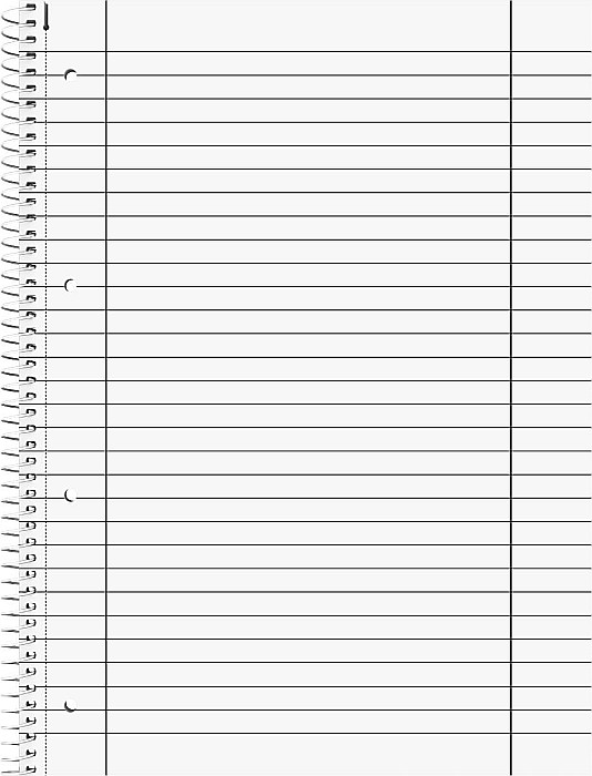 BR CAIET A4 80F SPIRA SI PERFORATII ARGINTIU LINII 67927192 [2]