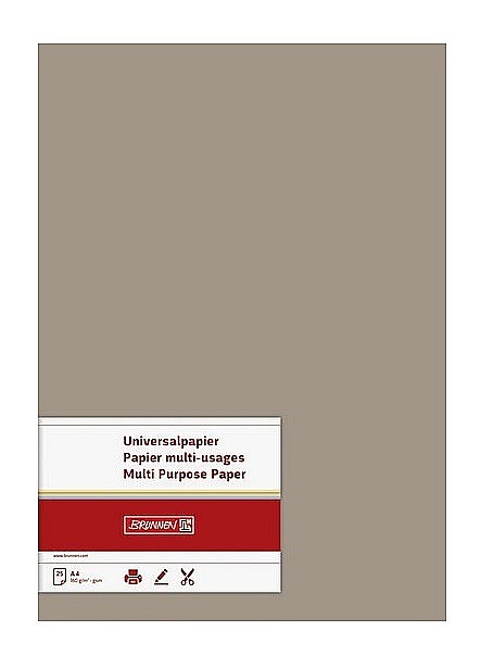 BR CARTON COLOR A4 160GR 25/SET TAUPE 5122585 [2]