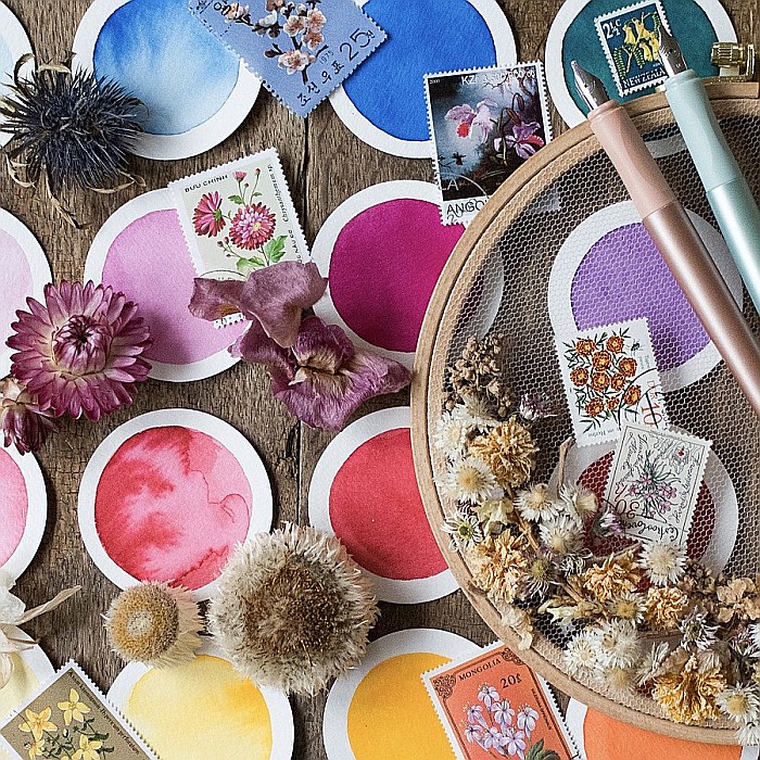 SCR PATROANE CERNEALA SCHNEIDER LILIAC  6/SET PASTEL [6]