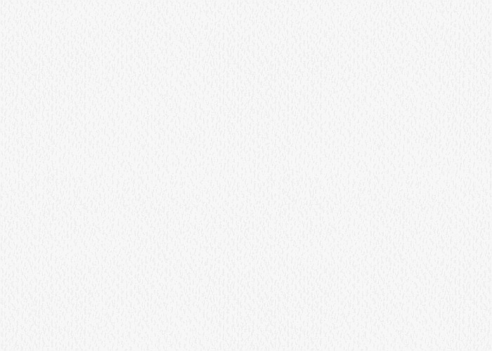 KP CARTON TEXTURAT 50*70 220GR ALB 4720000 [1]