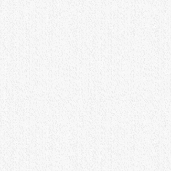 KP CARTON TEXTURAT 50*70 220GR ALB 4720000 [2]