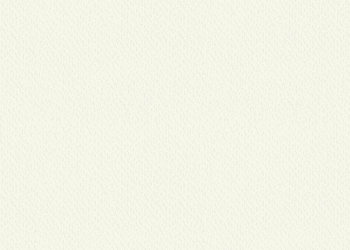 KP CARTON TEXTURAT 50*70 220GR ALB PERLAT 4720007 [1]