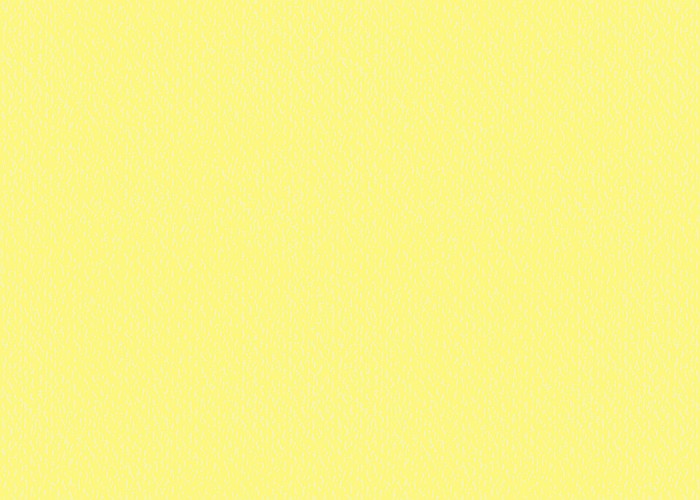 KP CARTON TEXTURAT 50*70 220GR GALBEN LAMAI 4720015 [1]