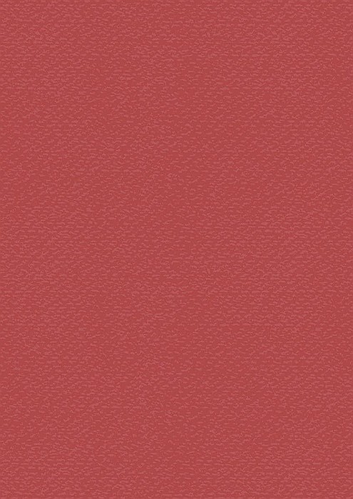 KP CARTON TEXTURAT 50*70 220GR ROSU LALEA 4720025 [1]