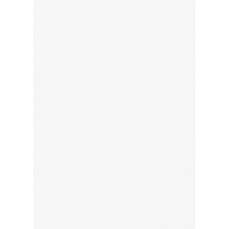 KP CARTON 50*70 130GR ALB 4721200 [1]