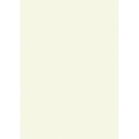 KP CARTON 50*70 130GR ALB PERLAT 4721207 [1]