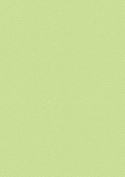 KP CARTON TEXTURAT 50*70 220GR VERDE DESCHIS 4720050 [1]