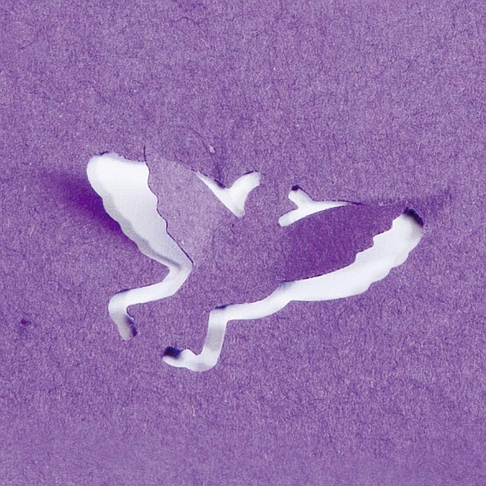 KP PERFORATOR DECORATIV HEYDA 2.5CM POP-UP PORUMBEL 3687525 [3]