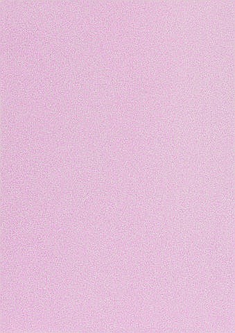 KP CARTON CU GLITTER A4 200GR TRANDAFIRIU LUCIOS 18930043 [1]