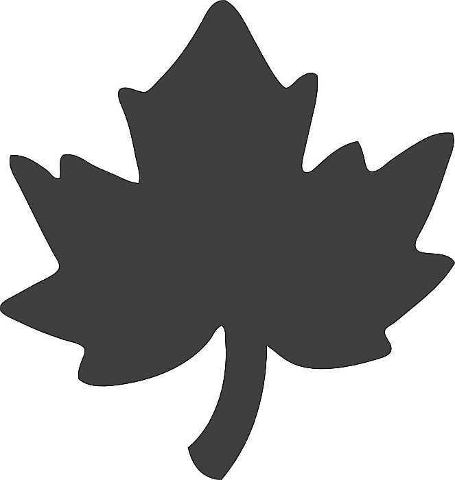 KP PERFORATOR DECORATIV HEYDA 1.7CM FRUNZA DE ARTAR 3687426 [3]