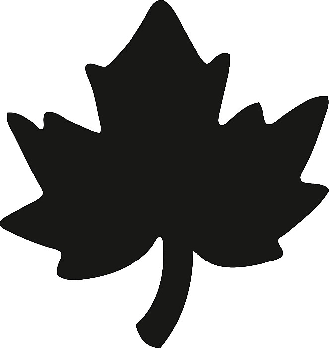 KP PERFORATOR DECORATIV HEYDA 2.5CM FRUNZA DE ARTAR 3687504 [3]