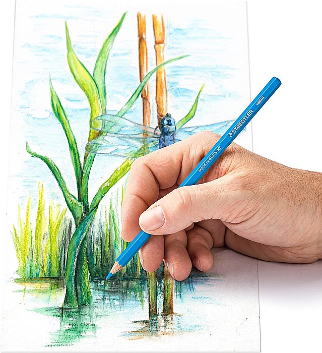 GRI CREIOANE COLORATE AQUARELL STAEDTLER 12/SET  ST-14610C-C12 [4]