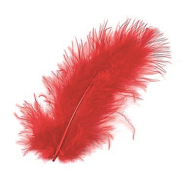 KP PENE DECOR MARABOU 10CM 15/SET ROSU  6619150 [1]