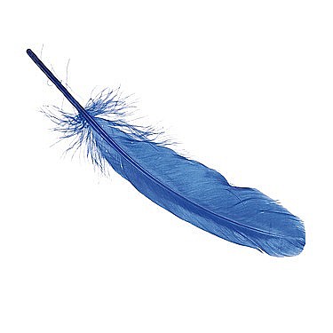 KP PENE DECOR GASCA 16-21CM 8/SET ALBASTRU 6620353 [1]