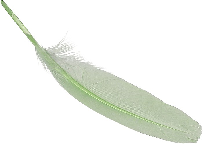 KP PENE DECOR GASCA 16-21CM 8/SET VERDE MAI 6620434 [1]