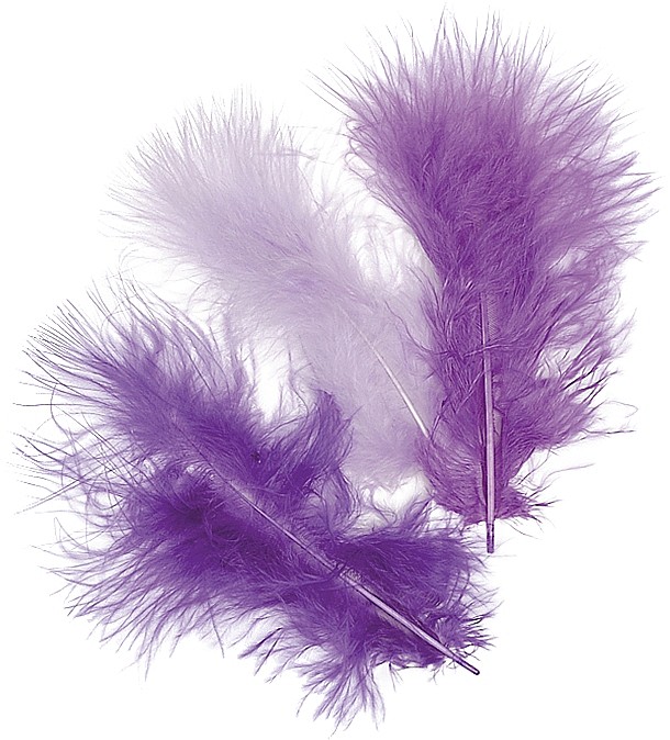 KP PENE DECOR MARABOU 10CM 15/SET MIX MOV 6619931 [1]