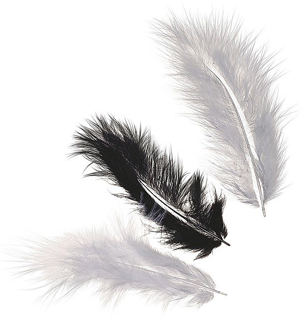 KP PENE DECOR MARABOU 10CM 15/SET MIX NEGRU 6619961 [1]