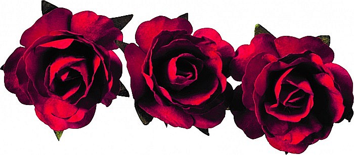 KP TRANDAFIRI HARTIE 2.5CM 12/SET ROSU 7611011 [3]