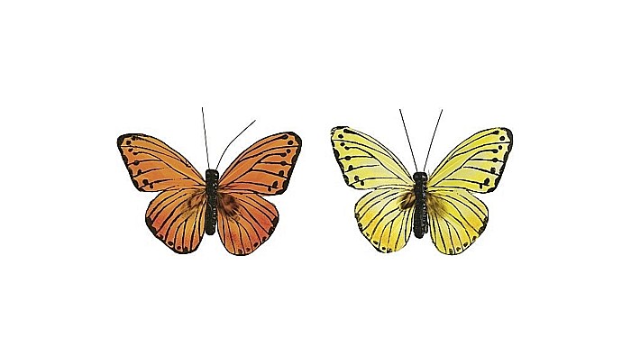 KP FLUTURE 7*9CM 2/SET GALBEN, PORTOCALIU 8030907 [1]