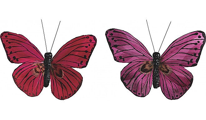 KP FLUTURE 7*9CM 2/SET ROSU, ROZ 8030908 [1]