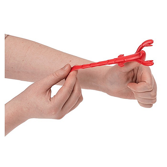 BLU PRASTIE 8.5*3.5CM ANIMALE MARINE 2/SET 59/2186 [8]