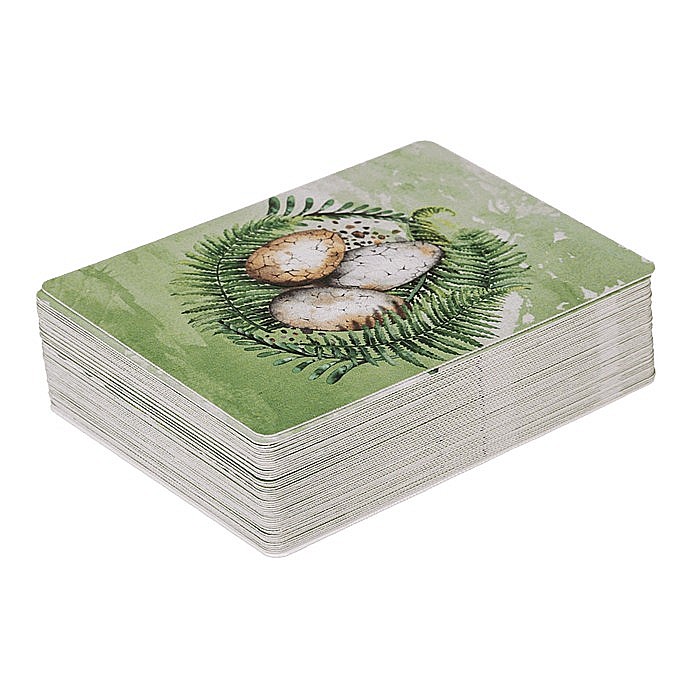 BLU CARTI JOC PLASTIC 5.7*8.7CM DINOZAURI 54/SET 76/5623 [9]