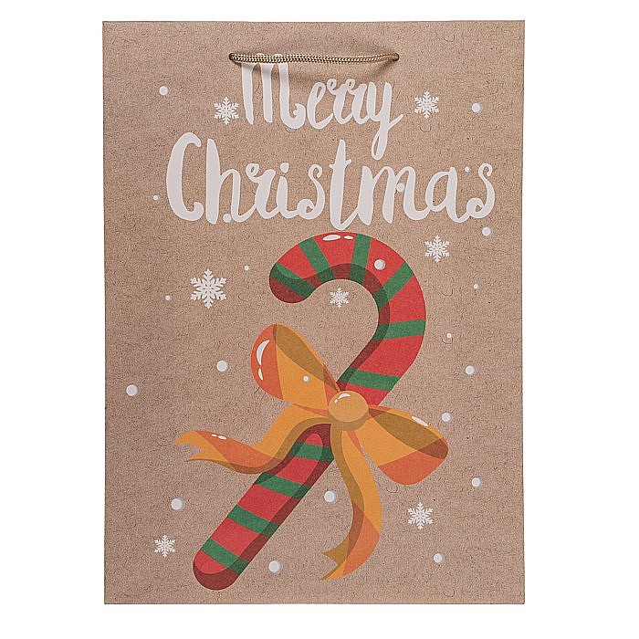 BLU SACOSA CADOU 25*8.5*34.5CM CHRISTMAS WARMS 160106 [3]