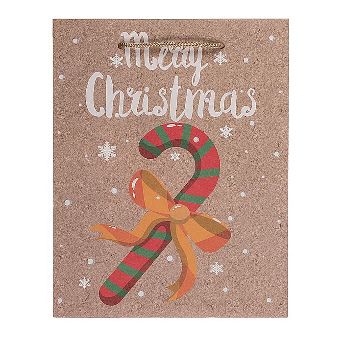 BLU SACOSA CADOU 18*8*23CM CHRISTMAS WARMS 160107 [4]