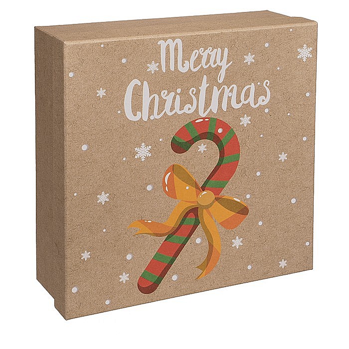 BLU CUTIE CADOU 20.5*20.5CM CHRISTMAS WARMS 160124 [3]