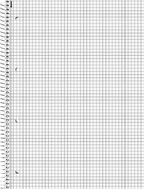 BR CAIET A4 80F SPIRA SI PERFORATII PREMIUM PATRATELE 6782890 [2]