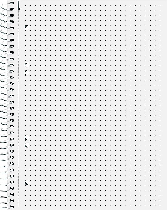 BR CAIET A5 80F SPIRA SI PERFORATII DOTTED 67157 [2]