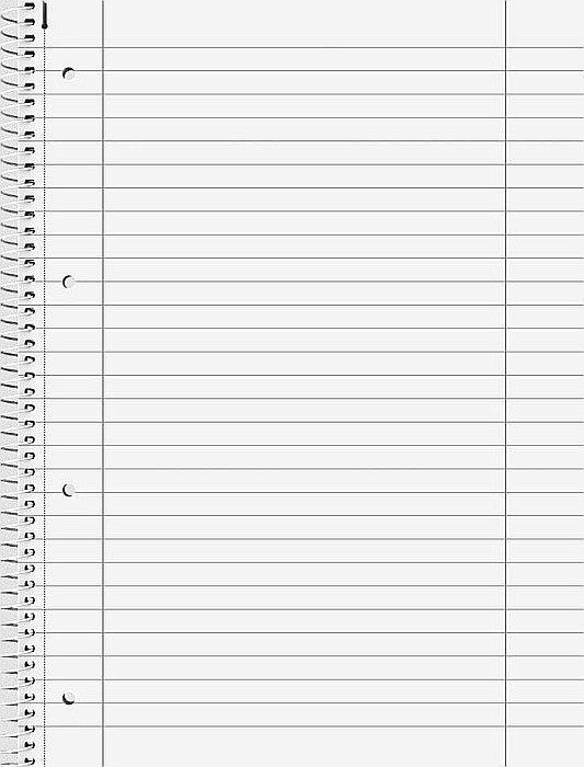 BR CAIET A4 80F SPIRA SI PERFORATII METALIC LINII 6732795 [2]