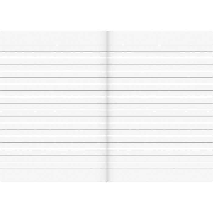 BR CAIET A5 96F BRUNNEN COPERTA CARTON MARO LINII 4357170 [4]